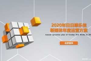 日日顺乐信2020年度新媒体运营方案（PPT）