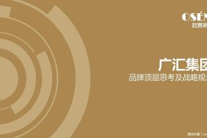 广汇集团汽车后市场品牌战略规划及整合营销策划方案（PDF）