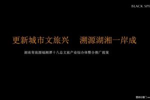 湖南青旅文旅产业综合体整合推广提报方案（PDF）