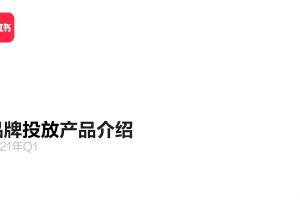 小红书2021Q1品牌广告投放产品介绍-营销通案（PDF）