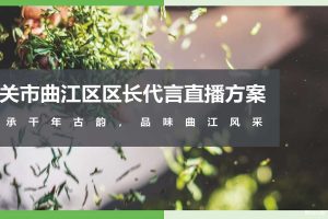 2020韶关曲江区区长代言直播带货活动策划方案（PDF）