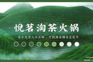悦茗淘茶火锅2020餐饮品牌策划方案（PDF）