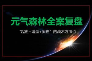 元气森林全案复盘-“起盘+增盘+固盘”的战术方法论（PDF）