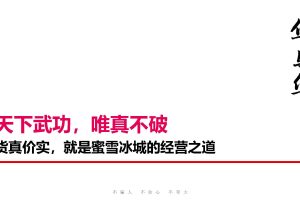 蜜雪冰城品牌升级营销策略全案（PDF）