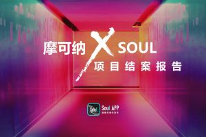 摩可纳咖啡 x Soul APP品牌项目合作结案（PPT）