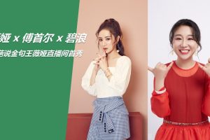 薇娅 x 傅首尔 x 碧浪淘宝直播带货整合传播方案（PPT）