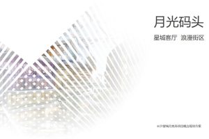 阳光100街区综合体概念规划设计方案（PPT）