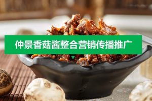 仲景香菇酱食品2021线上整合传播推广策划方案（PDF）
