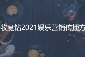 田牧魔钻冰激凌2021娱乐营销传播方案（PPT）