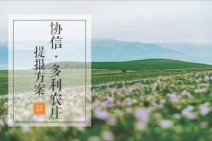 2020中国田园文旅综合体项目协信多利农庄推广案（PDF）
