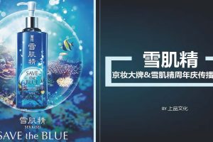 美妆品牌雪肌精入驻京东三周年庆站内站外种草传播方案（PDF）