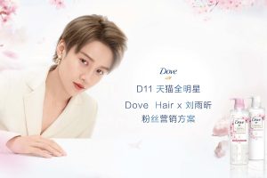 2020天猫全明星 多芬Dove Hair x 刘雨昕粉丝营销方案（PDF）