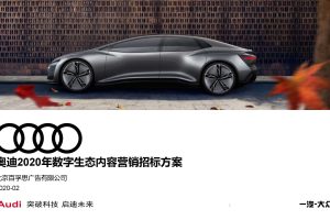 奥迪汽车2020数字生态内容营销策划方案（PDF）