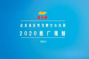 金龙鱼优＋活性发酵挂面2020年度推广规划（PDF）