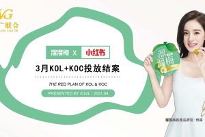 溜溜梅2021年小红书KOL+KOC投放结案报告（PDF）