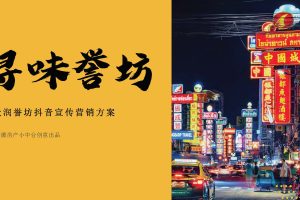 天润誉坊主题街区2021抖音推广合作方案（PDF）