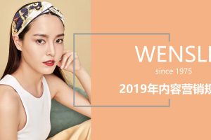 丝巾品牌万事利2019年度内容营销规划方案（PPT）