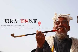 陕西区域特色农产品2020-2021整合推广方案（PPT）