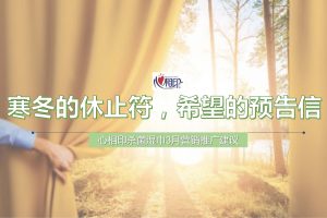 心相印杀菌湿巾2020年3月营销推广建议（PDF）