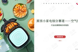 厨房小家电-“空气炸锅”行业社媒营销电商分析报告（PDF）