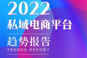 2022私域电商平台趋势报告（PDF）