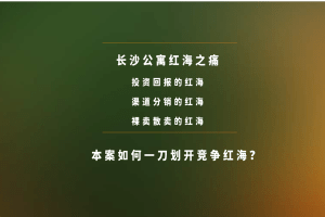 五矿地产长沙公寓项目2021下半年故事线智造及爆破推广方案（PDF）