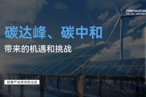 碳达峰、碳中和带来的机遇和挑战（PDF）