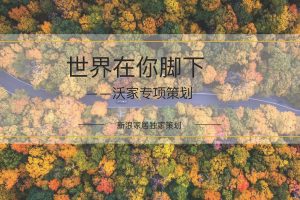 进口地板品牌沃加x新浪家居2020年产品内容策划方案（PDF）