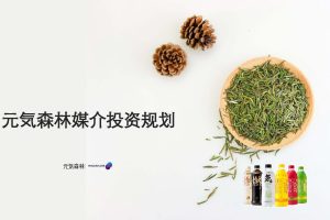 饮料品牌元気森林媒介投资规划（PDF）