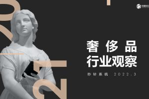 2021奢侈品行业观察-明略科技&秒针系统（PDF）