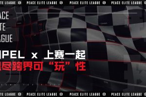 PEL和平精英电竞职业联赛x上海国际赛车场2021跨界传播案例（PDF）