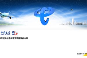 中国电信2021年度品牌运营矩阵策划方案（PPT）