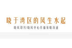 绿城晓风印月地产项目2021传播推广方案（PDF）