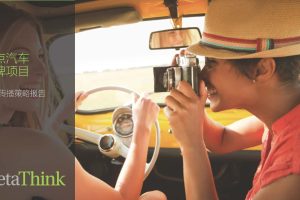 奇点新能源汽车上市传播策略方案（PDF）