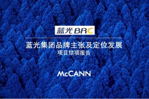 蓝光集团企业品牌主张及定位发展方案（PDF）
