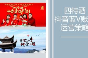 四特酒抖音企业蓝V号运营策略方案（PDF）