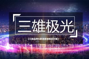 灯具照明品牌三雄极光&新浪家居2021营销合作策划方案（PPT）