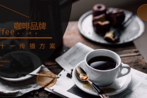 胶囊咖啡机品牌双十一传播方案（PPT）