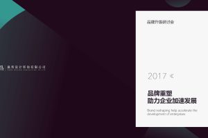 倍加洁口腔护理品牌升级策略方案（PDF）