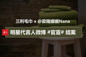 三利毛巾×欧阳娜娜2019明星代言人官宣微博营销结案（PPT）