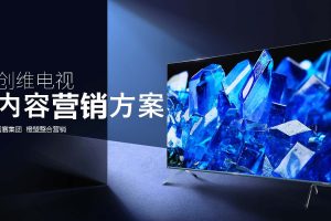 创维电视内容营销-自媒体运营及新品上市创意传播方案（PDF）