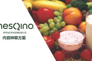 代餐品牌NesQino产品上市各平台内容种草方案（PDF）