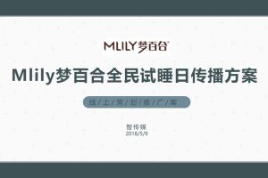 床垫品牌Mlily梦百合全民试睡日线上传播方案（PPT）