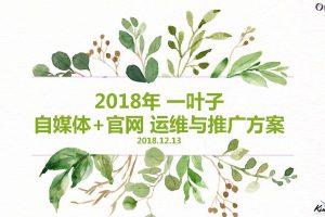 美妆品牌一叶子自媒体双微一抖+官网运营及推广方案（PDF）