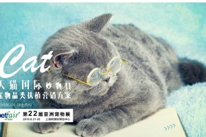 天猫国际宠物品类扶植计划营销方案（PDF）