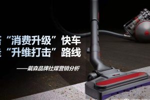 戴森品牌社媒营销分析报告-微播易（PDF）