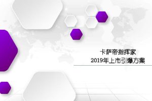 卡萨帝指挥家空调新品上市引爆方案（PDF）