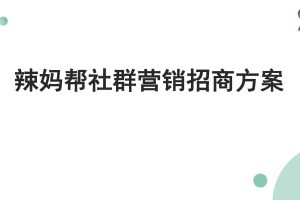 辣妈帮社群营销方案招商方案（PDF）