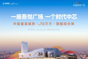 织里吾悦广场项目推介方案（PPT）