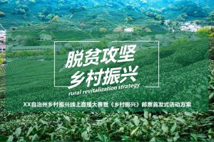 2021乡村振兴助农线上直播大赛暨《乡村振兴》邮票首发式活动方案（PPT）